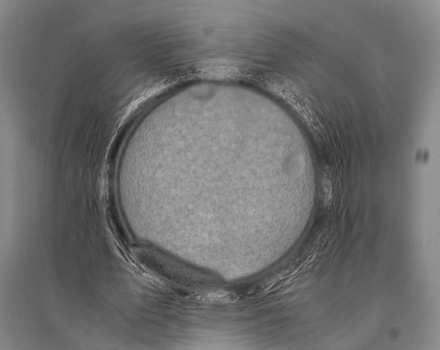 X0000094820583200712141647