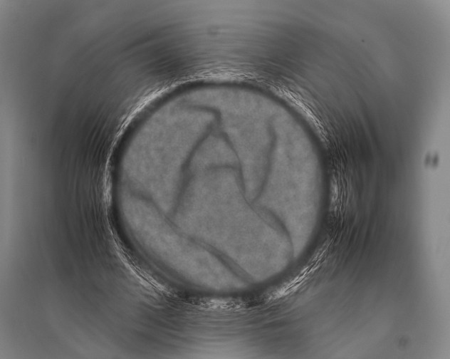 X0000094820584200712141647