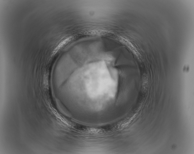 X0000094820585200712141647