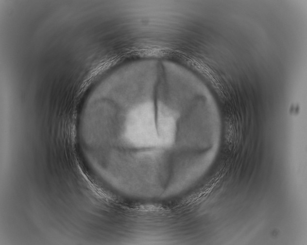 X0000094820586200712141646