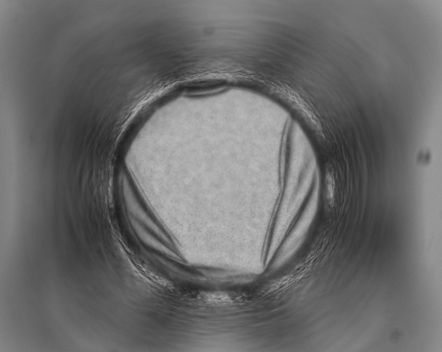 X0000094820588200712141646