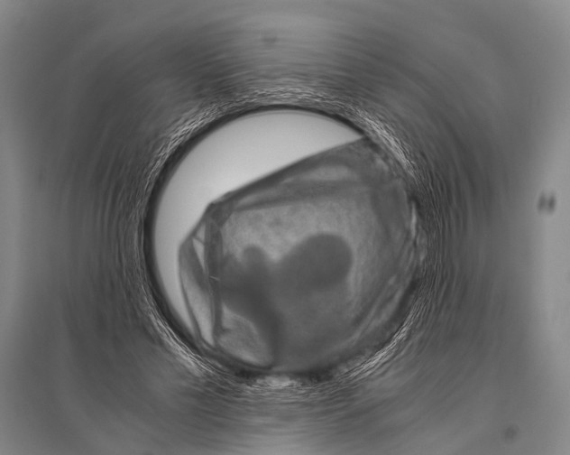 X0000094820589200712141646