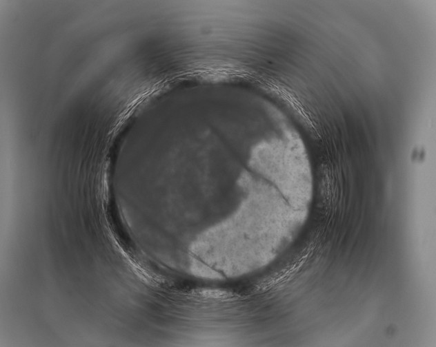 X0000094820590200712141646