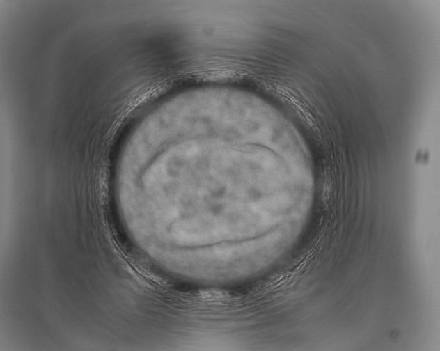 X0000094820591200712141646