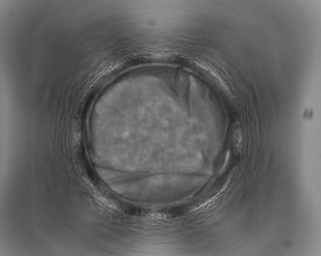 X0000094820593200712141646