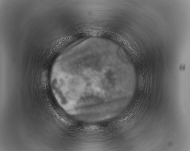 X0000094820594200712141646