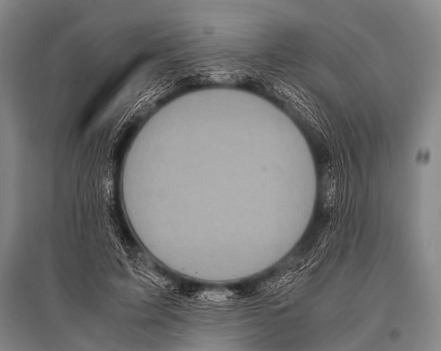 X0000094820595200712141646