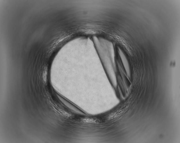 X0000094820596200712141646