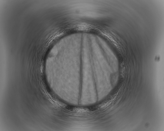 X0000094820597200712141646