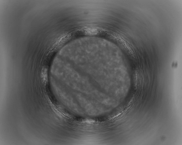 X0000094820598200712141646