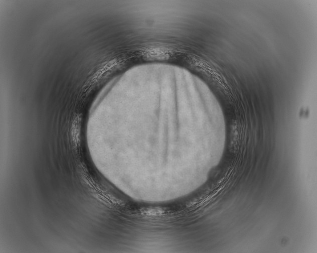 X0000094820600200712141646