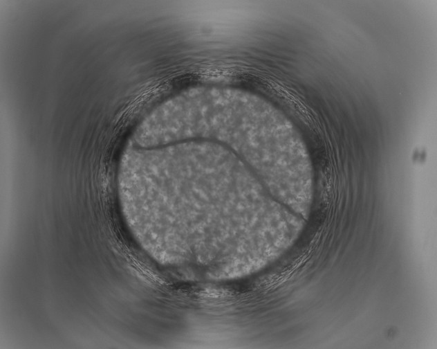 X0000094820601200712141646