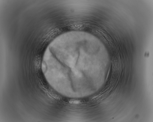 X0000094820602200712141646