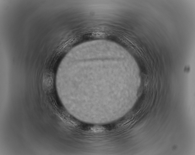 X0000094820603200712141646