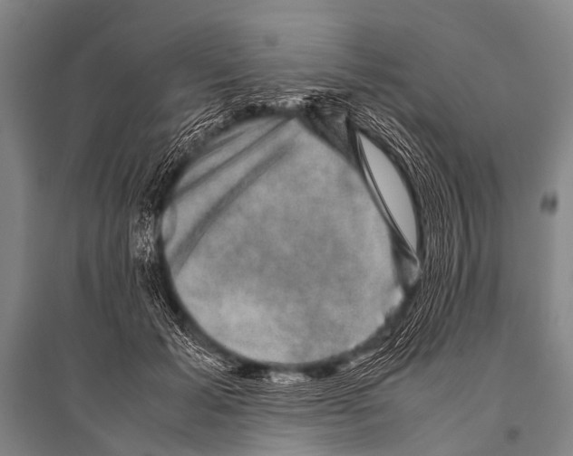 X0000094820605200712141646