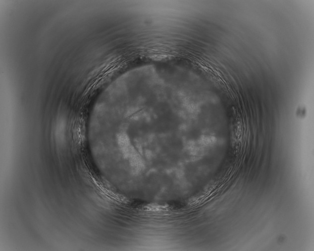 X0000094820606200712141646