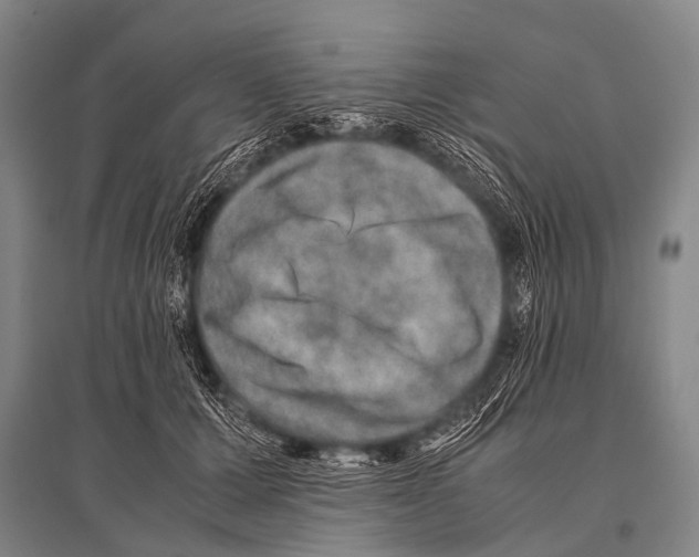 X0000094820607200712141646