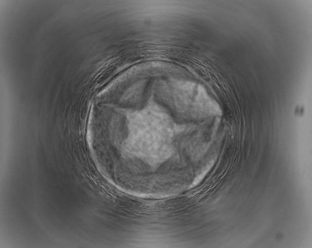 X0000094820609200712141646