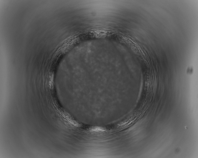 X0000094820610200712141646