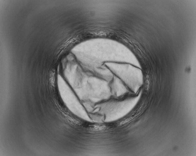 X0000094820612200712141646