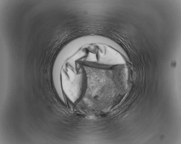 X0000094820613200712141646