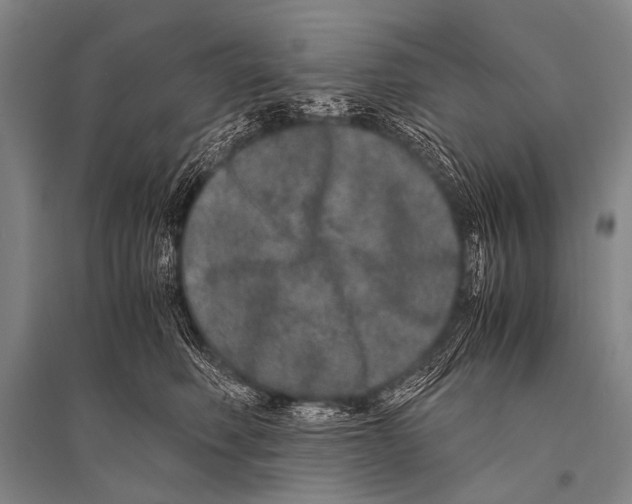 X0000094820614200712141646