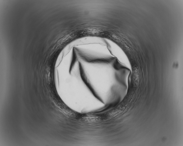 X0000094820615200712141646