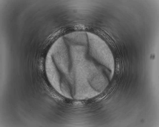 X0000094820616200712141646