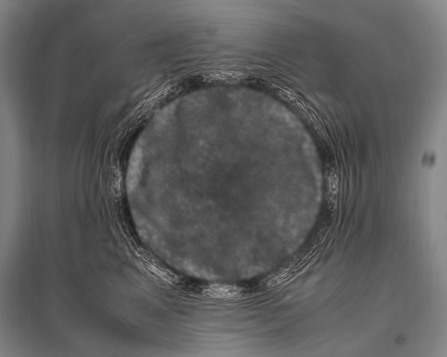 X0000094820617200712141646