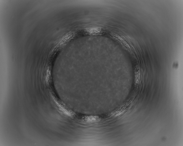 X0000094820618200712141646