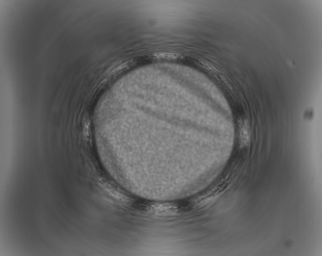 X0000094820619200712141646