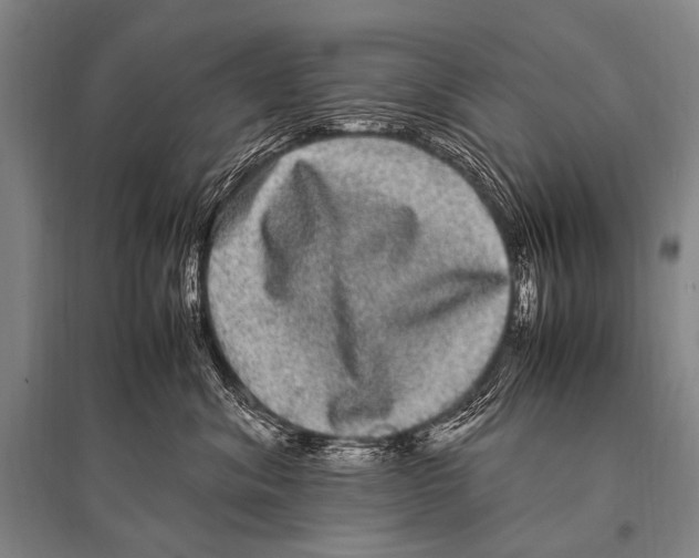 X0000094820620200712141646