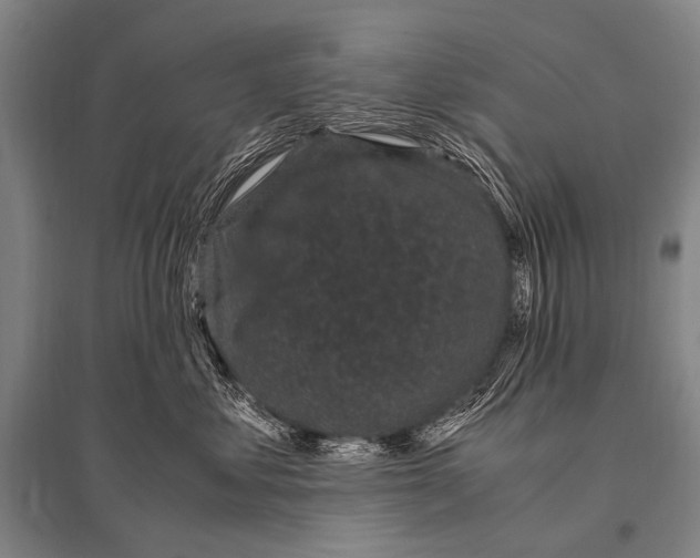 X0000094820621200712141646