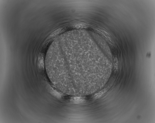 X0000094820622200712141646