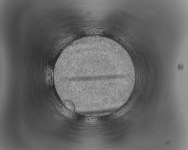 X0000094820624200712141646