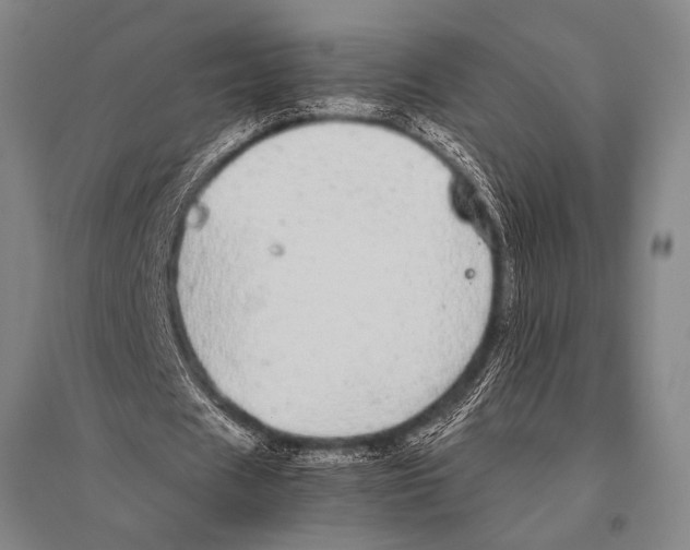 X0000094820625200712141645