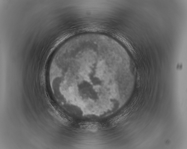 X0000094820626200712141645