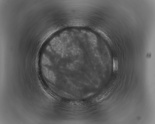 X0000094820627200712141645