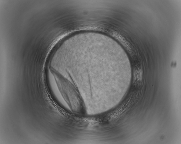 X0000094820628200712141645