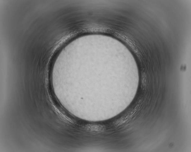 X0000094820629200712141645