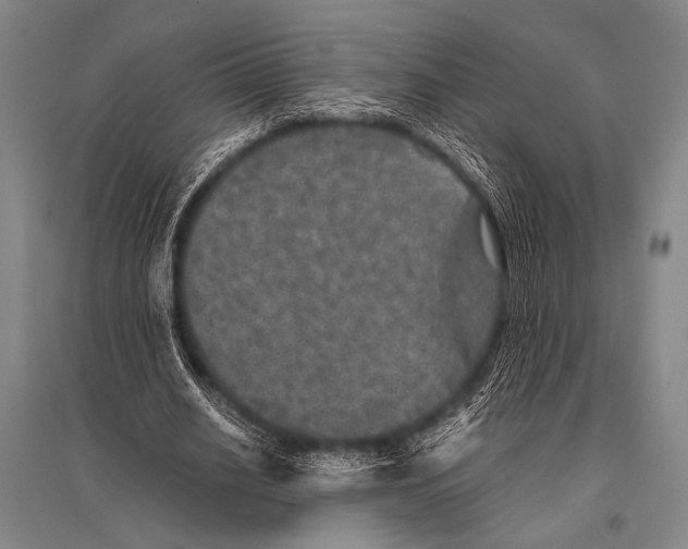 X0000094820630200712141645