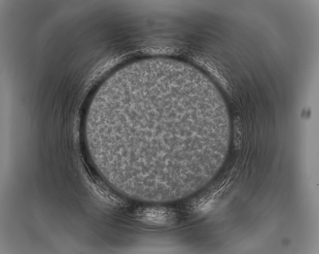 X0000094820631200712141645