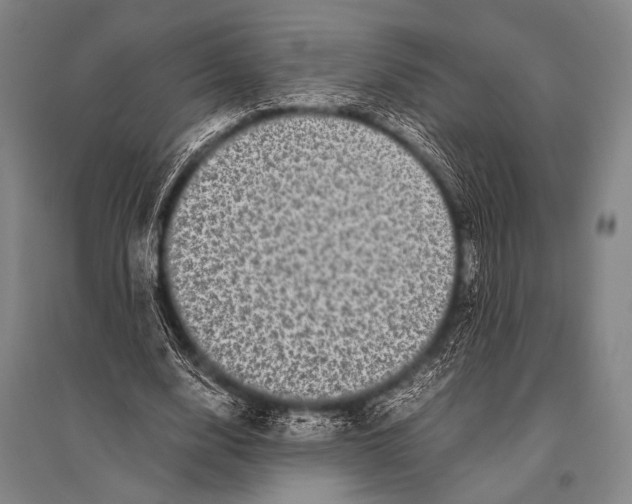 X0000094820632200712141645