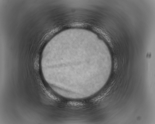 X0000094820633200712141645