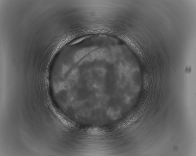 X0000094820634200712141645