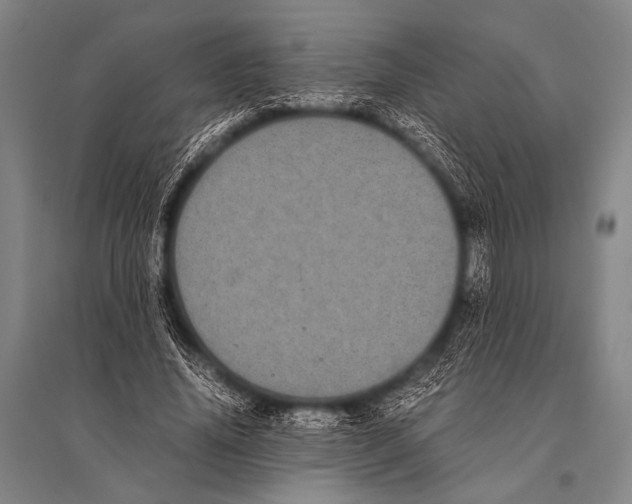 X0000094820636200712141645