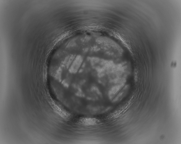 X0000094820637200712141645