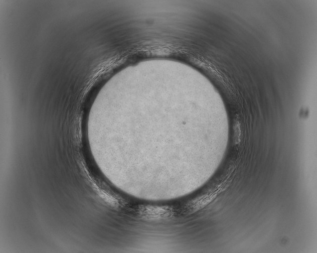 X0000094820638200712141645