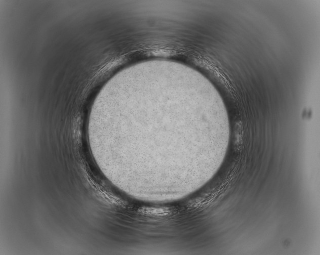 X0000094820639200712141645