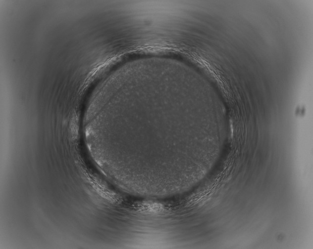 X0000094820640200712141646